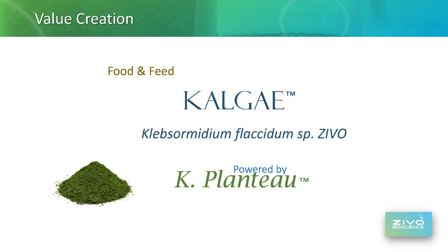 Exhibit 99.1_Page_17.jpg